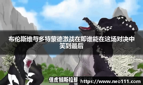 布伦斯维与多特蒙德激战在即谁能在这场对决中笑到最后