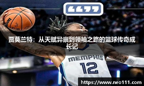 完美体育登录入口