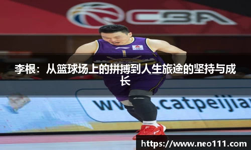 完美体育官网