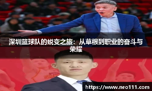 深圳篮球队的蜕变之旅：从草根到职业的奋斗与荣耀